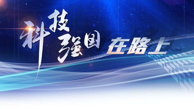 上海智能客服自动回复：构建高效客户服务体验的关键**